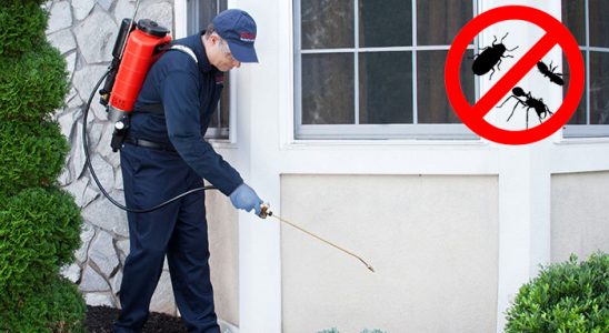 Tercan Tahtakurusu İlaçlama böcek ilaçlama ve haşere kontrolü — ilaclama-tr.com